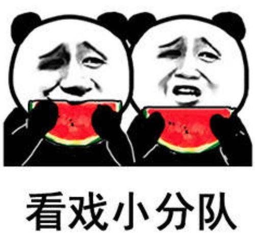 女生发吃瓜的表情怎么回复,揭秘女生内心世界 第3张 女生发吃瓜的表情怎么回复,揭秘女生内心世界 第3张